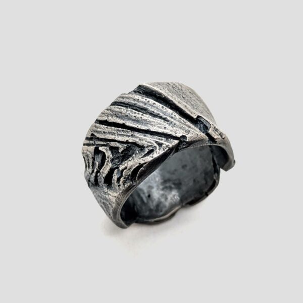 Anillo hombre
