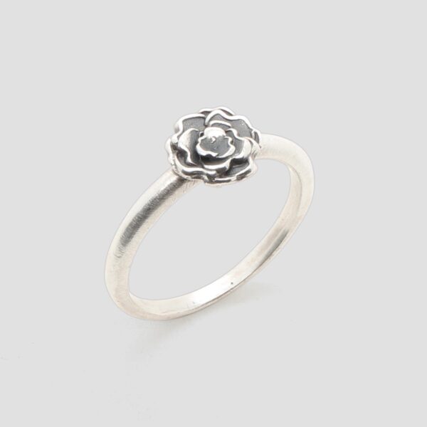 Anell plata • rosa